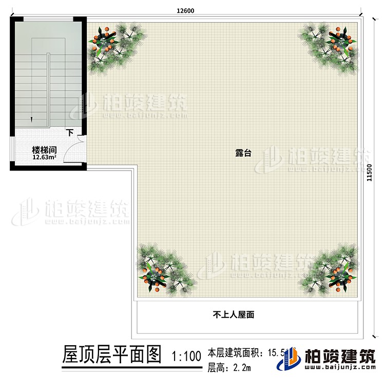 房頂：樓梯間、露臺(tái)